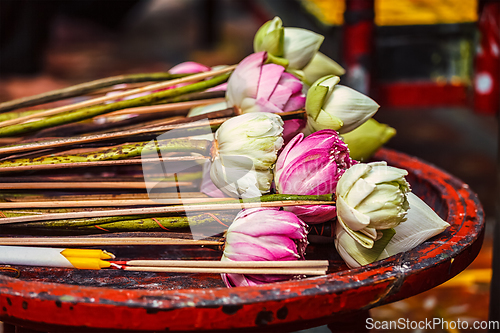 Image of Lotus flowers used as offering in Buddhist temple