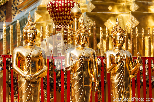 Image of Gold Buddha statues in Wat Phra That Doi Suthep
