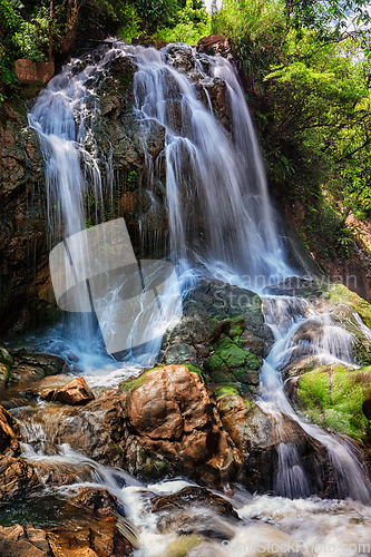 Image of Tropical waterfal in jungle