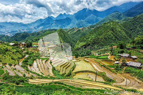 Image of Rice field terraces. Near Sapa, Mui Ne