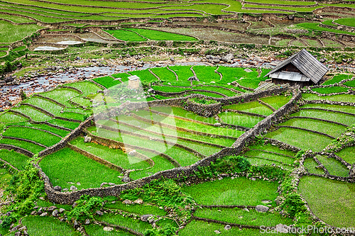 Image of Rice field terraces