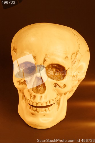 Image of Death's Head