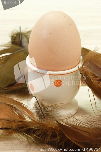 Image of Brown Egg