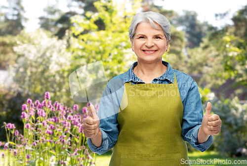 Image of senior woman in garden apron showing thumbs up