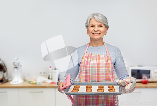 Image of senior woman in apron with cookies on baking pan