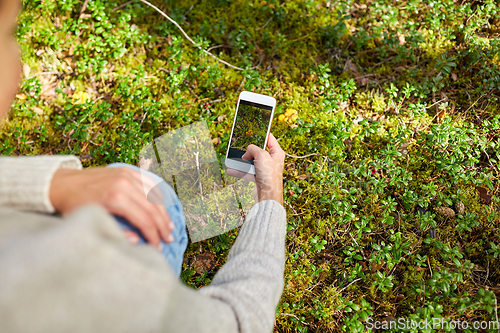 Image of hand using smartphone to identify mushrooms