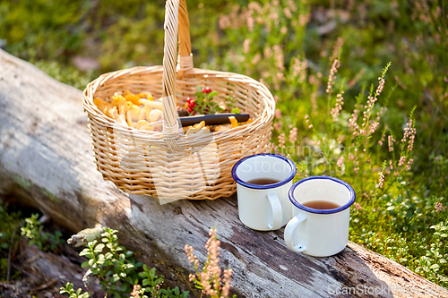 Image of mushrooms in basket and cups of tea in forest