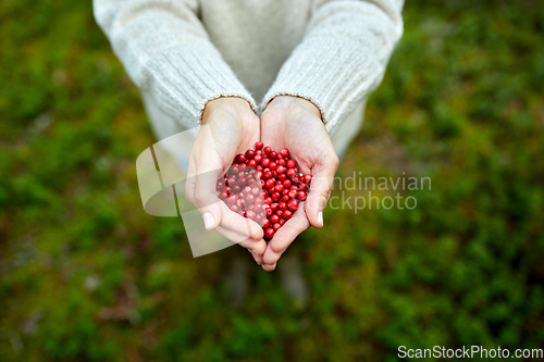 Image of close up of young woman holding berries in hands