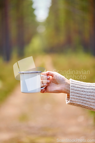 Image of hand of woman with white tea mug in forest