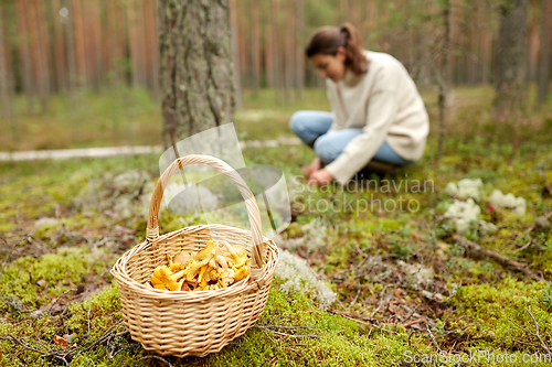 Image of young woman picking mushrooms in autumn forest