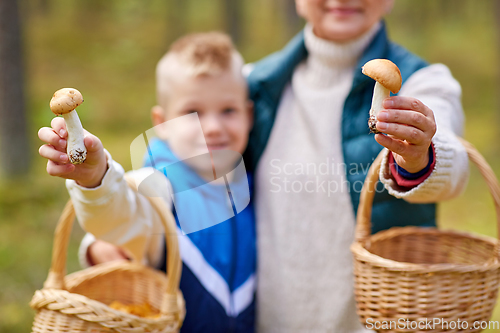 Image of grandmother and grandson with mushrooms in forest