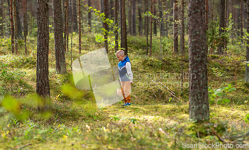 Image of little boy with basket picking mushrooms in forest