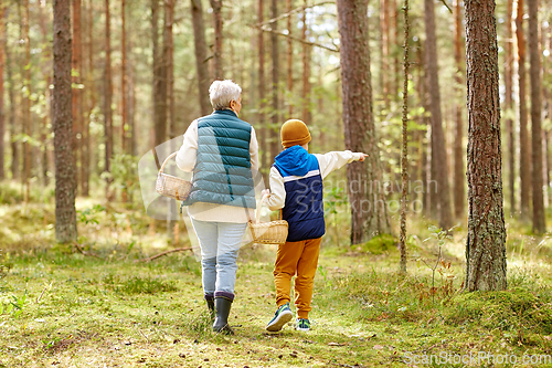 Image of grandmother and grandson with baskets in forest