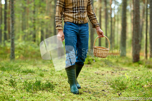 Image of man with basket picking mushrooms in forest