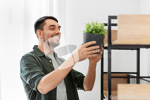 Image of man decorating home with flower or houseplant