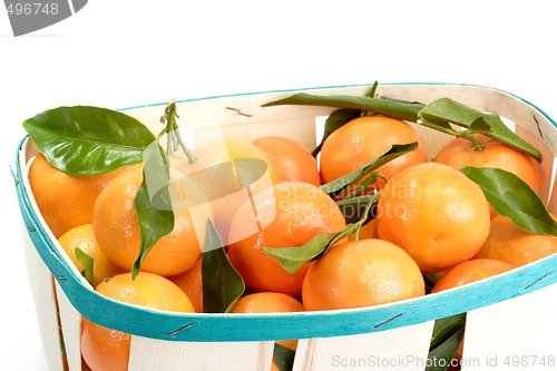 Image of Tangerines with Leaves