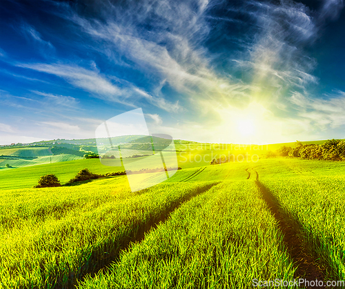 Image of Rolling summer landscape