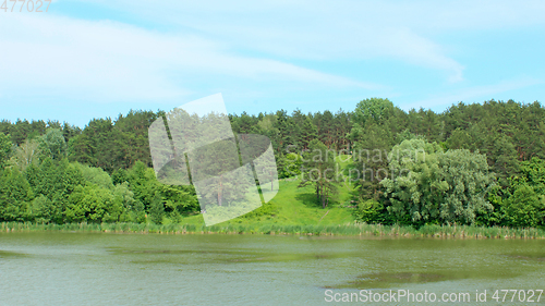 Image of lake in the forest