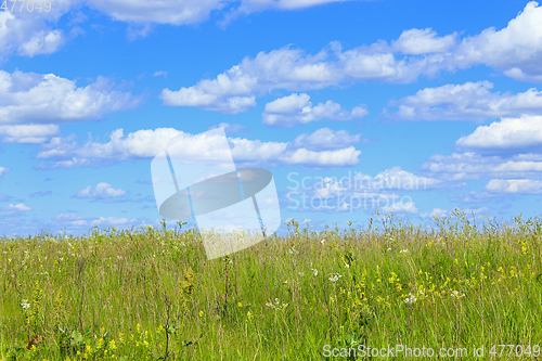 Image of summer field with grass and blue sky
