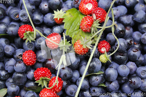 Image of bilberries and wild strawberries