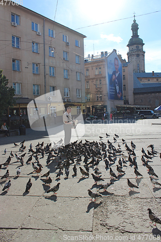 Image of man feeds pigeons on the city road in Lviv