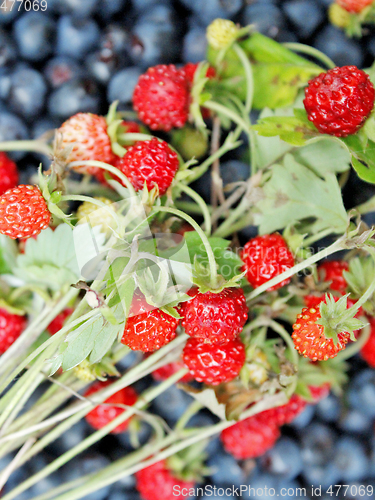 Image of fresh wild strawberries and bilberries