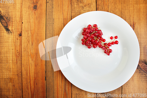 Image of Berries of a red currant on the white plate