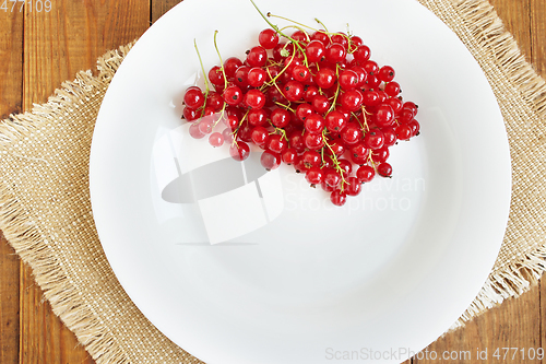 Image of Berries of a red currant on the white plate