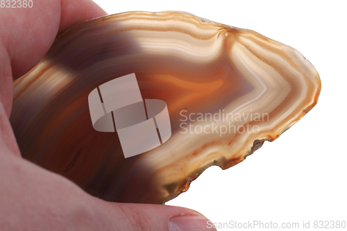 Image of natural agate isolated