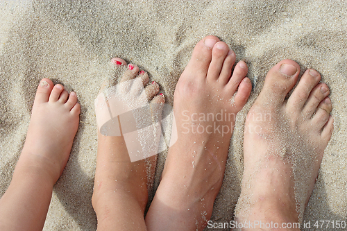 Image of feet of father mother and their daughters on beach sand