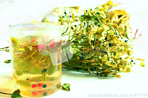 Image of tea from leaves and berries of bilberry and schisandra