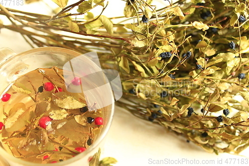 Image of tea from leaves and berries of bilberry and schisandra