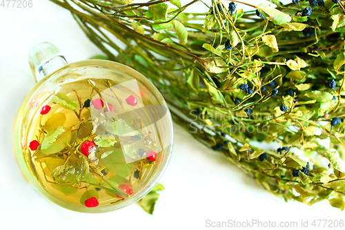 Image of tea from leaves and berries of bilberry and schisandra