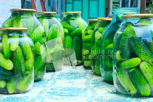 Image of Cucumbers in the jars prepared for preservation