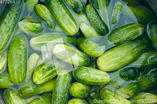 Image of Cucumbers prepared for preservation
