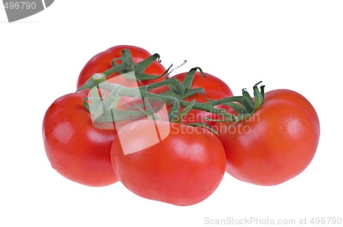 Image of fresh tomatoes
