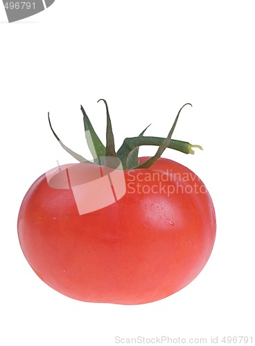 Image of tomato isolated on white