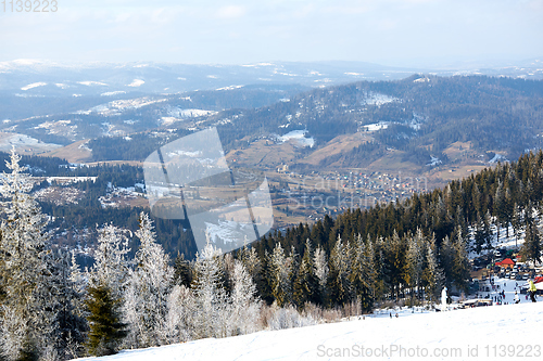 Image of Majestic white spruces glowing by sunlight. Picturesque and gorgeous wintry scene. Location place Carpathian national park, Ukraine, Europe. Alps ski resort. Blue toning. Happy New Year Beauty world.