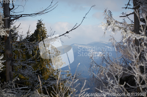 Image of Winter Carpathian Mountains panorama with fir forest on slopes. Two shots stitch high-resolution panorama.