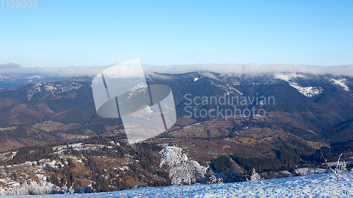 Image of Winter panorama of mountains on a sunny day. Carpathians, Ukraine