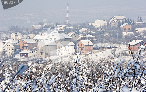 Image of fruit orchard in winter