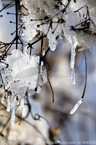 Image of winter thaw