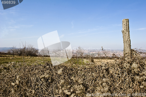 Image of ploughed field in spring