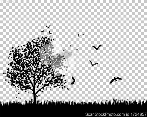 Image of Maple Tree With Bats
