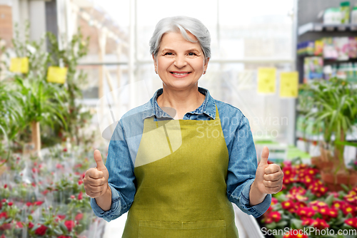 Image of senior woman showing thumbs up in gardening center