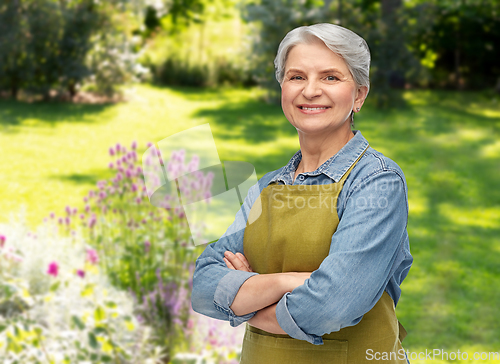 Image of portrait of smiling senior woman in garden apron