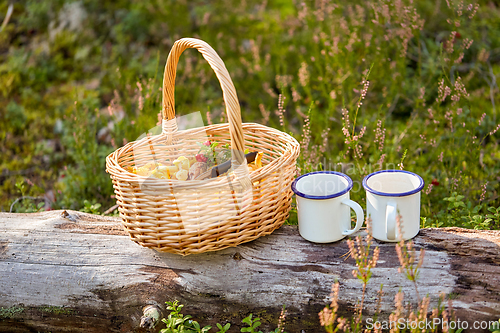 Image of mushrooms in basket and cups of tea in forest