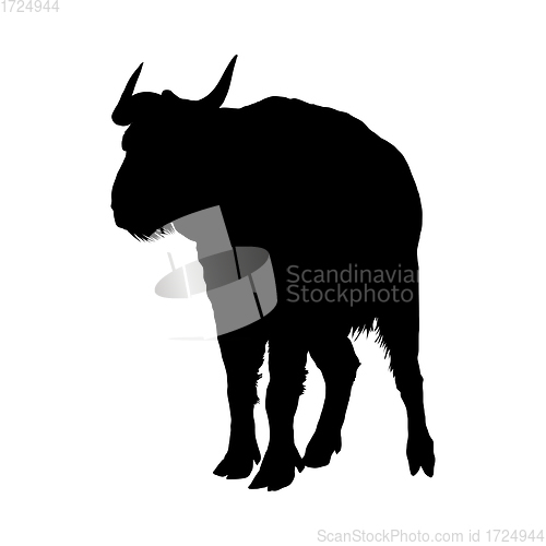 Image of Bison Silhouette