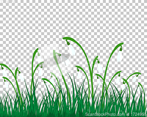 Image of Summer meadow background with snowdrops