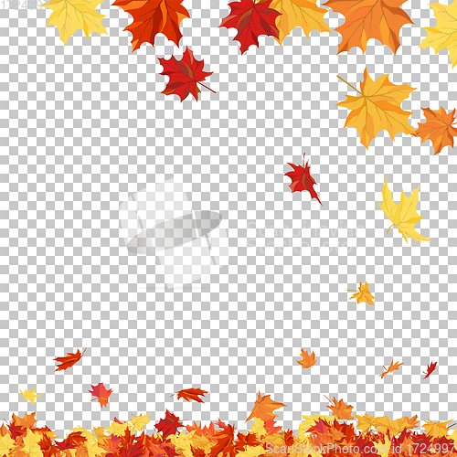 Image of Autumn 